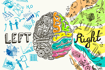 El hemisferio izquierdo del cerebro controla el lado derecho del cuerpo. El hemisferio derecho el izquierdo. 